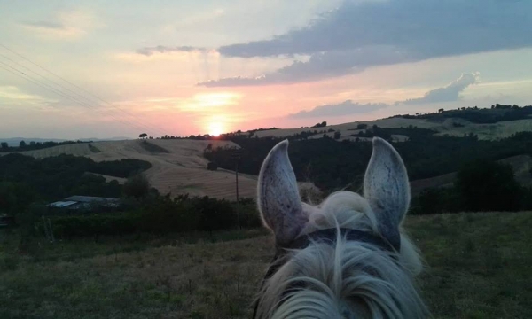 UMBRIA AND HORSE a SAN TERENZIANO 2019