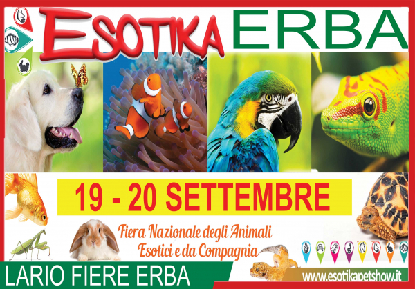 ESOTIKA PET EXPO ITALIA - ERBA 2020