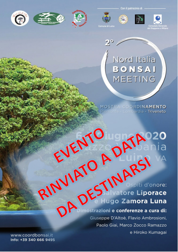 2° NORD ITALIA BONSAI MEETING a LUINO