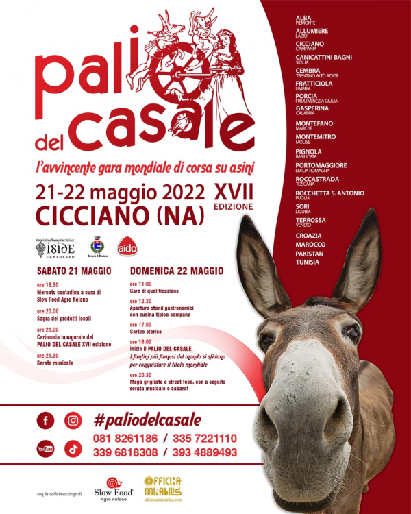 17° PALIO DEL CASALE a CICCIANO