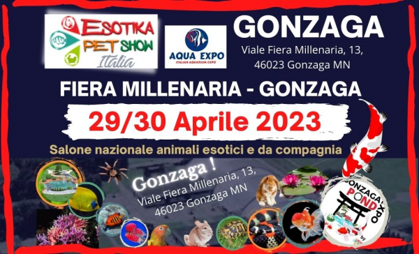 ESOTIKA PET SHOW a GONZAGA 2023