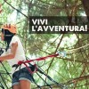 Parco Avventura Bosco Tondo Le Marze VIVI L'AVVENTURA