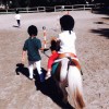 Centro di Equitazione Il Bosco Pony Games