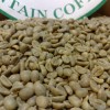 ANTICA TORREFAZIONE DEL CAFFE' PADOVANI - SHOP ONLINE Caffè Verde