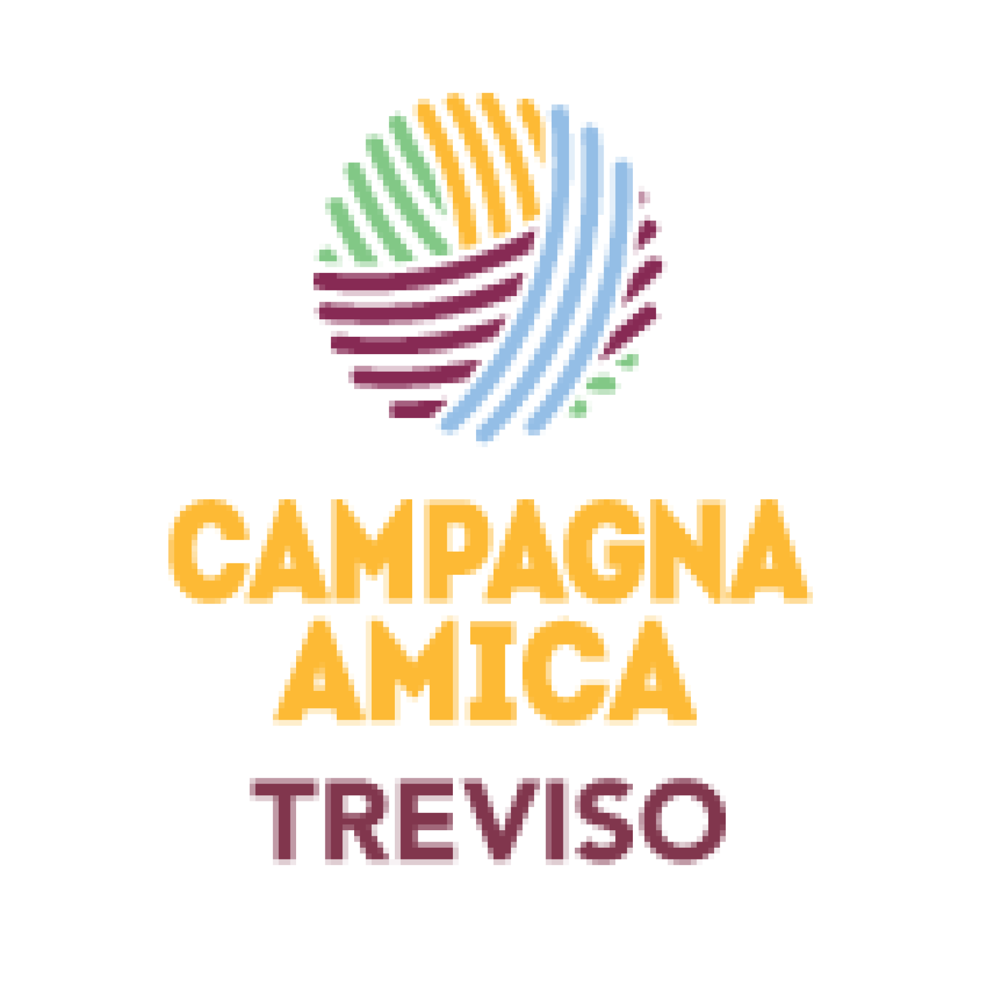 CAMPAGNA AMICA a TREVISO 2024