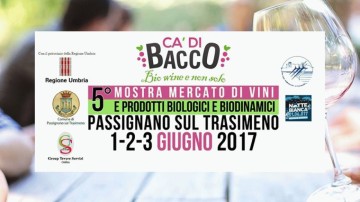 5° CA' DI BACCO - PASSIGNANO SUL TRASIMENO
