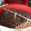 ANTICA TORREFAZIONE DEL CAFFE' PADOVANI - SHOP ONLINE Torrefazione Padovani